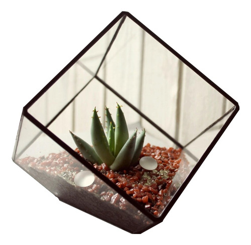 Maceta Terrario Cubo Para Cactus Suculentas Vidrio Vitraux