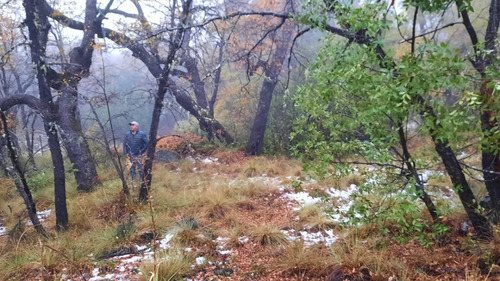Terreno En Las Trancas Excelente Ubicación Km 70.5