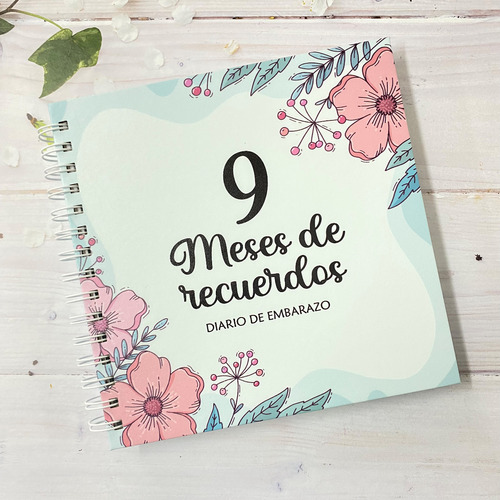 Diario Agenda 9 Meses