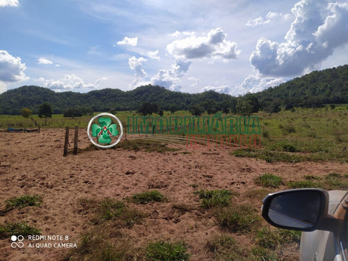 Imagem 5 de 14 de Fazenda Para Venda Em Barra Do Garças - Mt (cód. 192) Fazenda De Pecuária Em Toricueije Para Uso Em Pecuária.