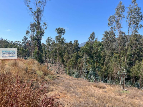 Sitios Aguas Claras, Cachagua