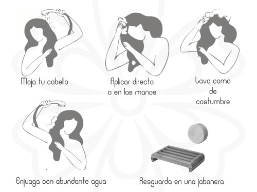Shampoo Sólido Jabonara Anticaída Romero Y Cedro 80g