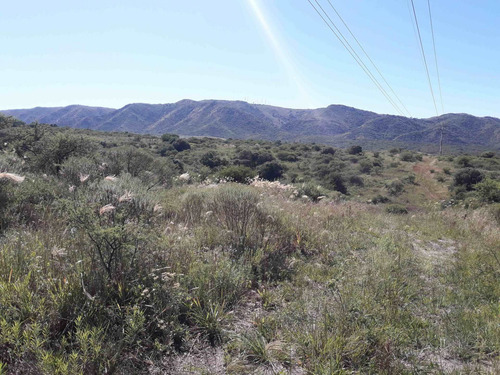 Imagen 2 de 3 de Lote De 600 M2 En Tierralta