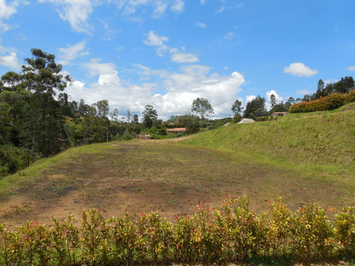 Lote En Venta Guarne Variante Aeropuerto 2.500 M2 Parcelación