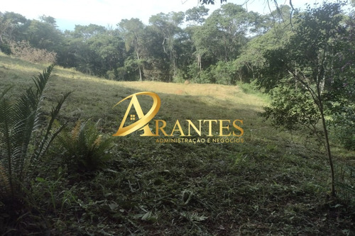 Imagem 10 de 14 de Terreno - Te00068 - 70716178