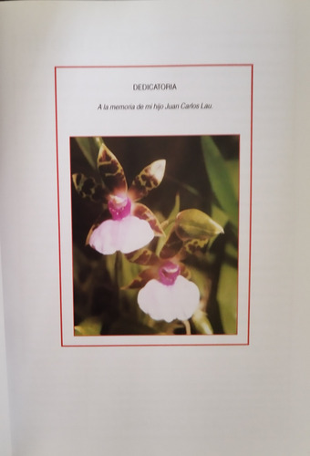100 Orquideas Argentinas - Maria Julia Freuler (Usado)