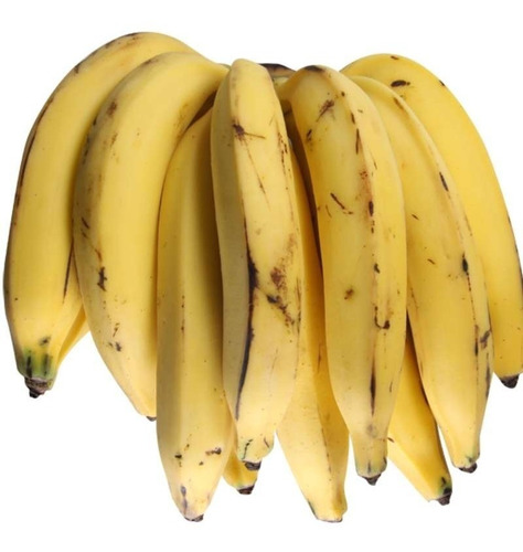  Muda De Banana Da Terra Rizoma Orgânico..