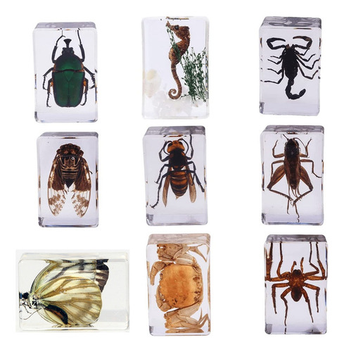 9 Pieces Insect Set, Cricket, Cicada, Butterfly, A