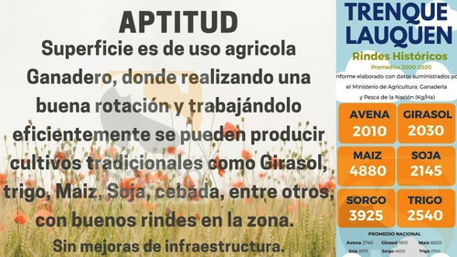 Imagen 7 de 12 de Campo De 50 Has En Venta En Distrito De #trenquelauquen