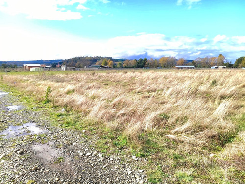 Venta Parcela De 5000 M2, Acceso Controlado, Camino Freire