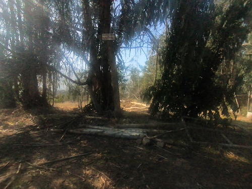 Terreno Urbanizado En Primera Línea Con Vista A La Playa.