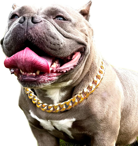 Collar De Cadena De Oro Para Perro, Collar De Perro De Eslab