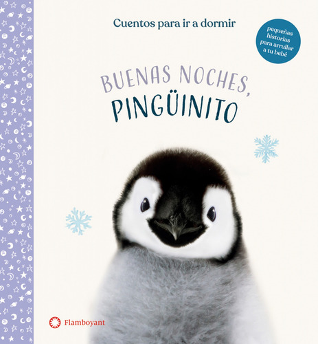 Libro - Buenas Noches, Pingüinito 