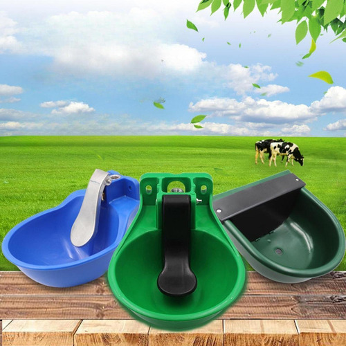 Tazón Automático De Agua De Agua Tazón De Agua De Verde