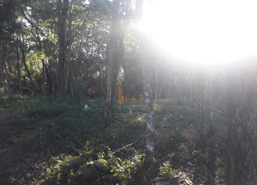 Imagem 3 de 6 de Terreno Em Centro, Piedade/sp De 10m² À Venda Por R$ 75.000,00 - Te1083255