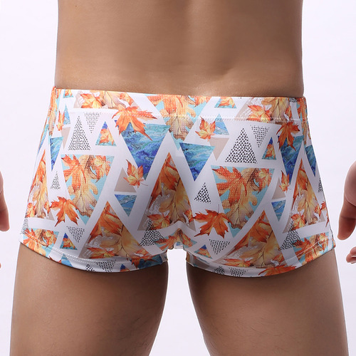 Bañador De Ropa Interior Para Hombre Con Estampado A Media C