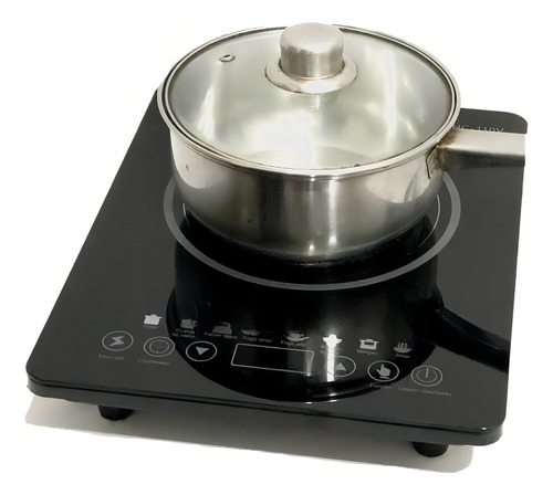 Fogão De Indução De Uma Boca c/ Controle De Temperatura Cor Preto