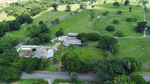 Imagen 16 de 16 de Finca Ganadera En Coloncito Excelente Tierras
