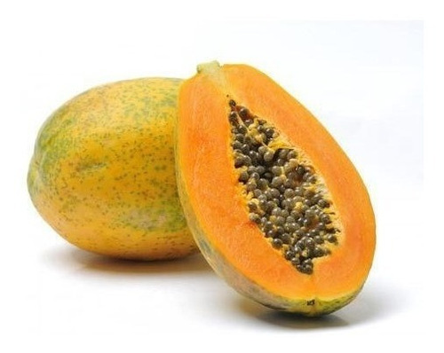 Sobre Para Sembrar 15 Plantas Arboles Frutales De Papaya