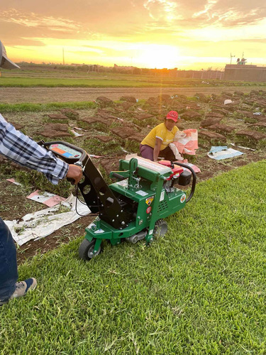 Imagen 15 de 19 de Sod Cutter Saca Champas Tepes Champeadora Cosechadora Grass