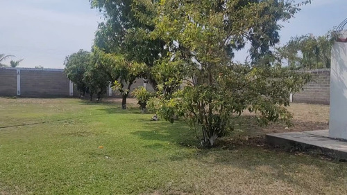 Terreno En Venta En Jonacatepec, Morelos