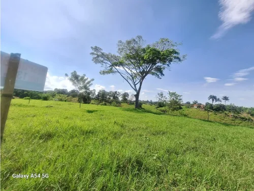 Venta Lotes En Quimbaya -quindío Colombia Cod: 7555717