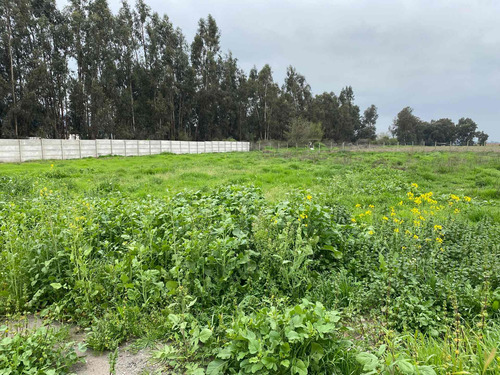 Imagen 5 de 19 de Bajó De Precio! Sitio En Parcelación De Isla De Maipo