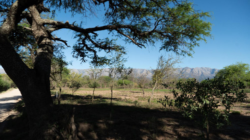 Venta De Terrenos En Nono Traslasierra Cordoba
