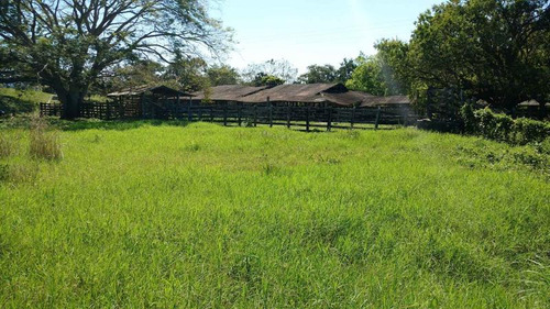 Vendo Rancho Ganadero 223 Hectáreas Temapache Veracruz