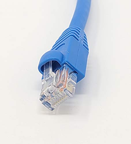 Cable De Conexión Ethernet Utp Cat 6a De 1 Pie Con Microcone