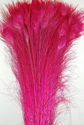 25 Pcs Bleached Pluma Pavo Real Teñido 30 -35  Rosa