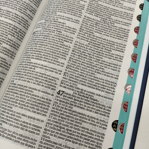 Bíblia Com Harpa Rc Slim Capa Dura Leão Refúgio Com Índice