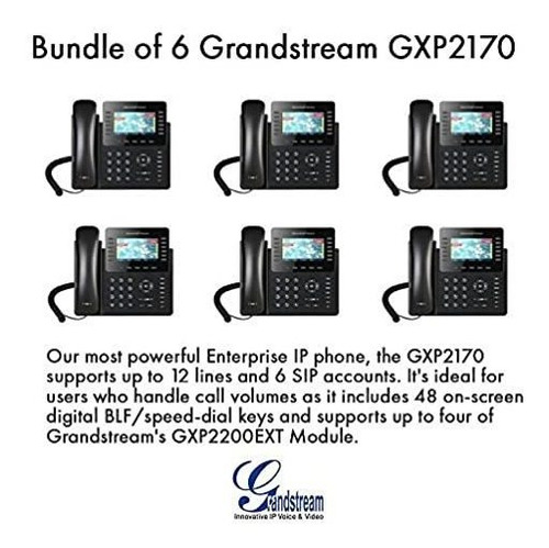 Grandstream Gxp2170 (paquete De 6) 12 Línea Telefónica Ip, V