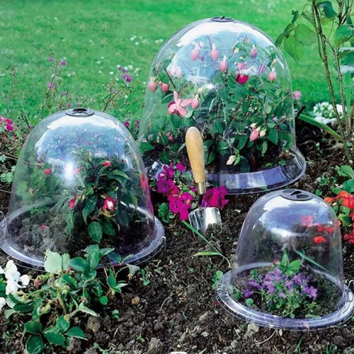 Protector De Campana Para Plantas, Campanas De Engrosado