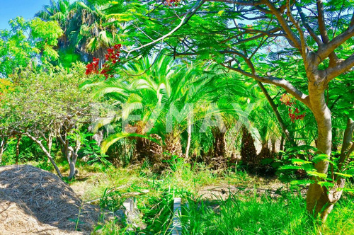 The Crown Jewel At Las Animas, San Jose Del Cabo, Mls #23-131