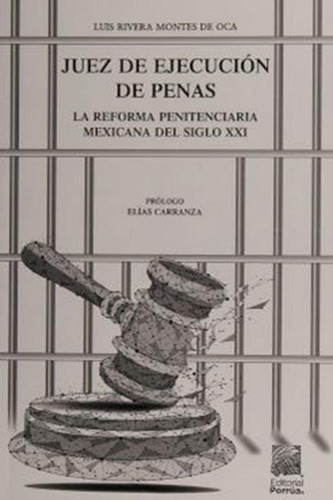 Libro Juez De Ejecución De Penas