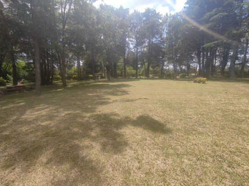 Imagen 17 de 30 de Hermosa Quinta Con Mucha Arboleda Añeja