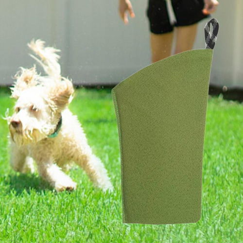 Manga De Entrenamiento Para Perros, Manga De Verde