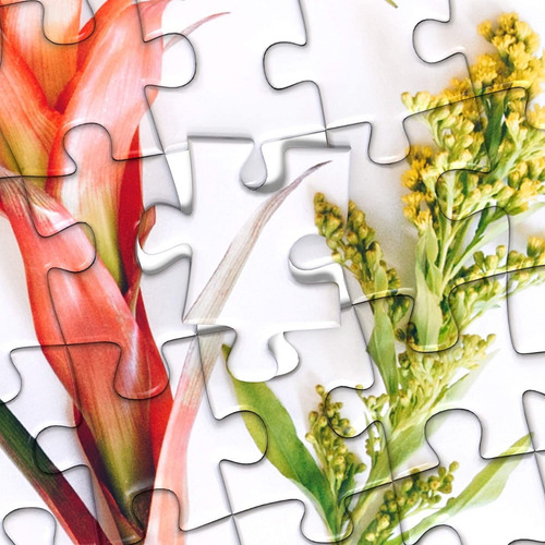 Rompecabezas Bold Botanicals Puzzle 1000pza - Betterco.