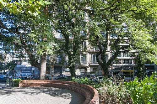 Imagen 20 de 24 de Piso Único De 10 Ambientes Estilo Francés En Plaza Libertad - Retiro