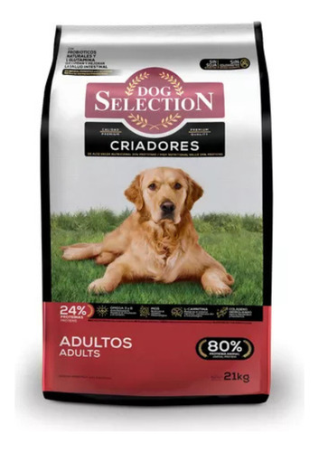 Dog Selection Criadores Perro Adulto 