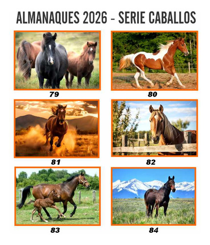 Almanaques 2026 Personalizados +1 Perforado Colgar 200 Udad Con Fotos Surtidas A Elección Tu Publicidad Comercial