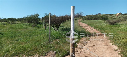 Parcela En Venta En Limache