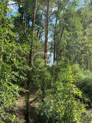 Imagen 7 de 7 de Sitio En Venta En Puerto Octay