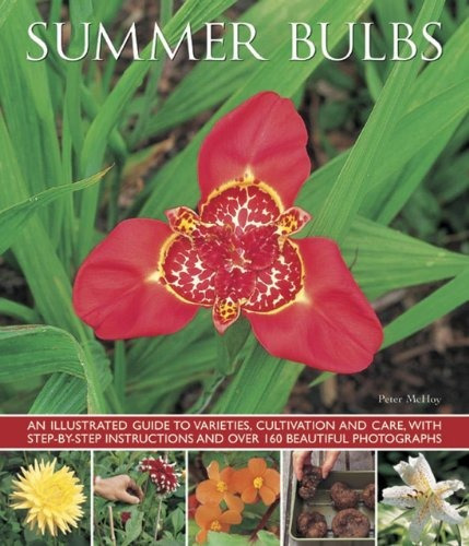 Summer Bulbs An Illustrated Guide To Varieties, Cultivation 
