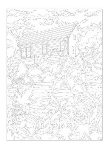 Book : Creative Haven Country Scenes Color By Number...