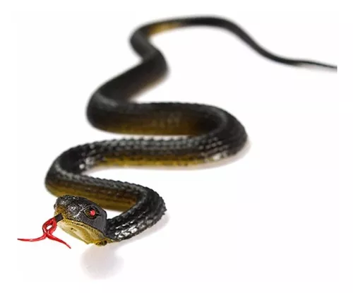 Jogo Tesouro Serpente Cobra Pegue Ouro Brinquedo Divertido