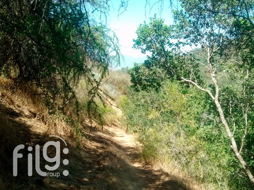 Oportunidad Vendo Gran Terreno En Culipran Melipilla