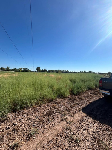 Finca En Venta En Colonia Segovia. 7,5 Has