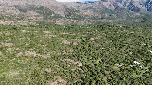 Campo En Venta En Nono, Los Algarrobos